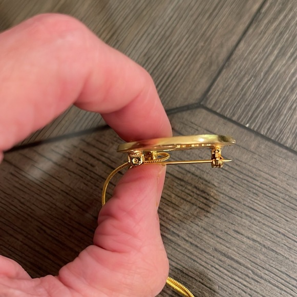 TRI CHEM SUN GLO ND BIRD PIN to paint TRICHEM - Picture 9 of 16